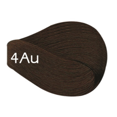 4AU - Dark Auburn